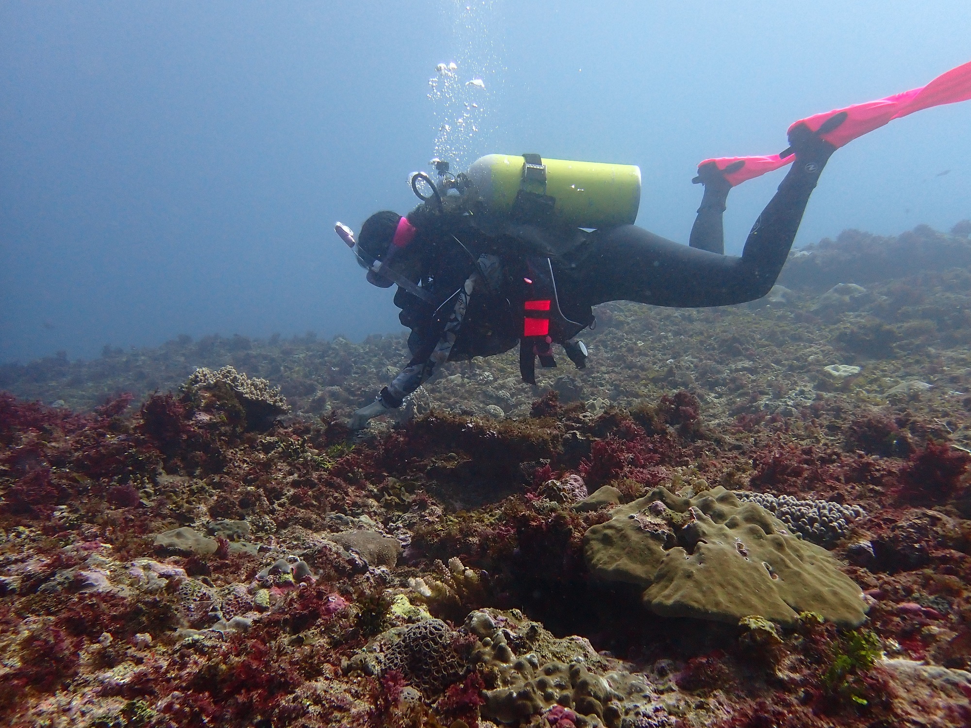 Lucas scholar Madeleine Pacheco diving in Madagascar